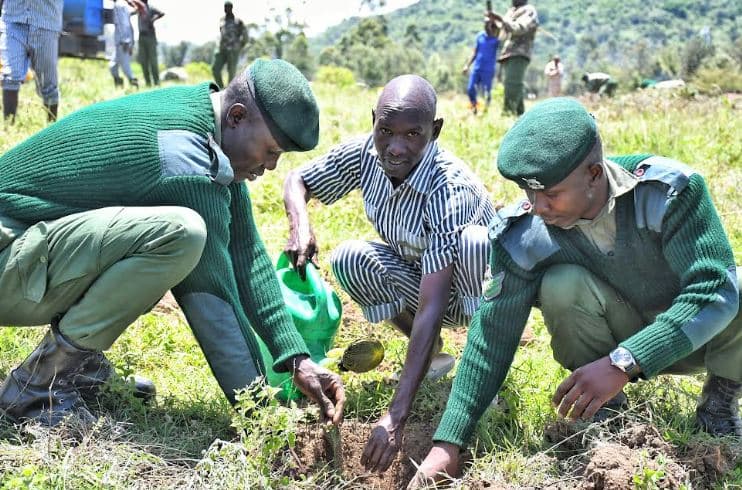 Gov’t begins construction of 3,000 housing units for prison officers