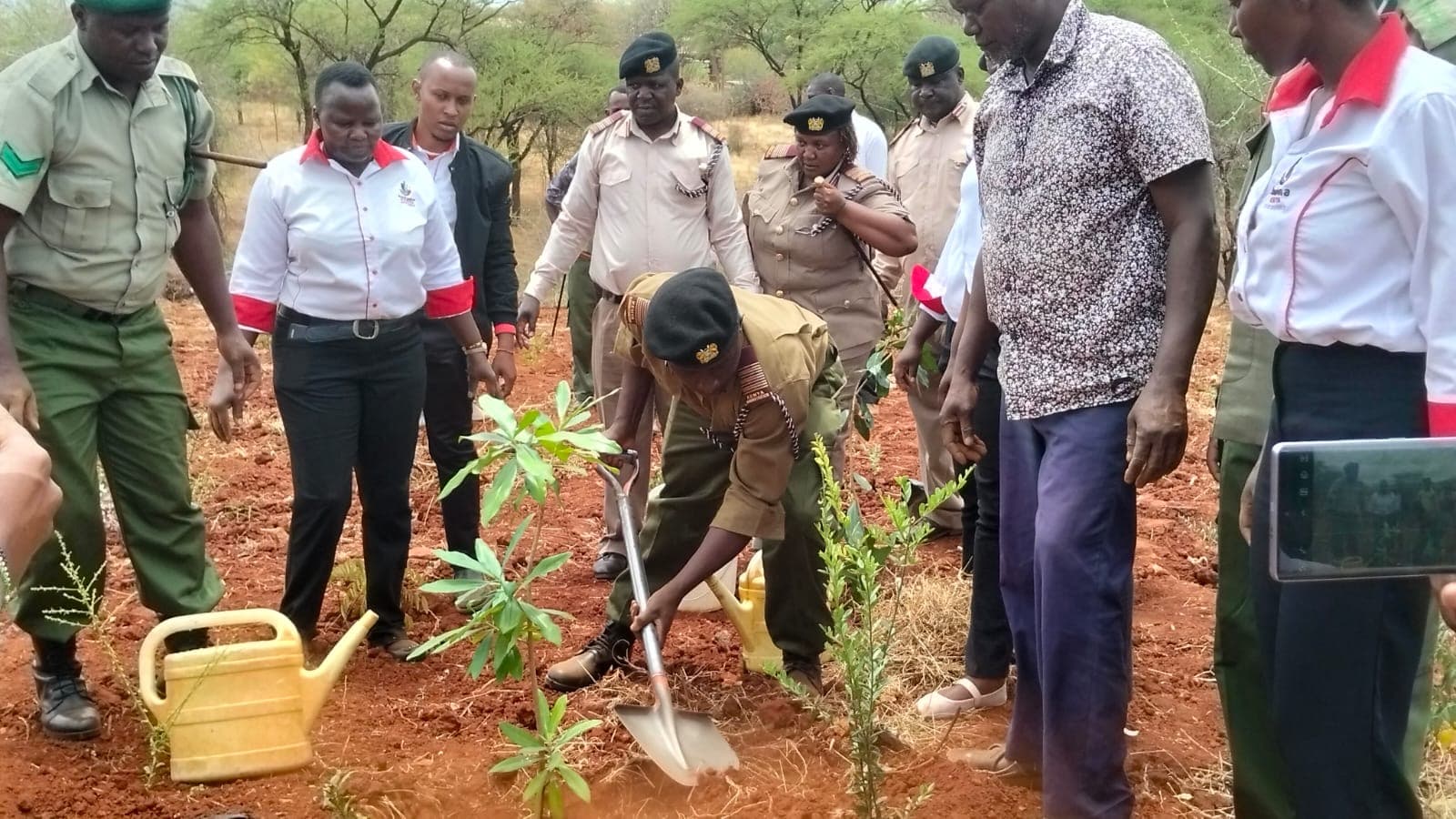 Tharaka-Nithi targets planting 200,060 trees during Environment Week activities