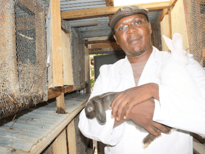 Man builds rabbits empire single-handedly despite financial challenges