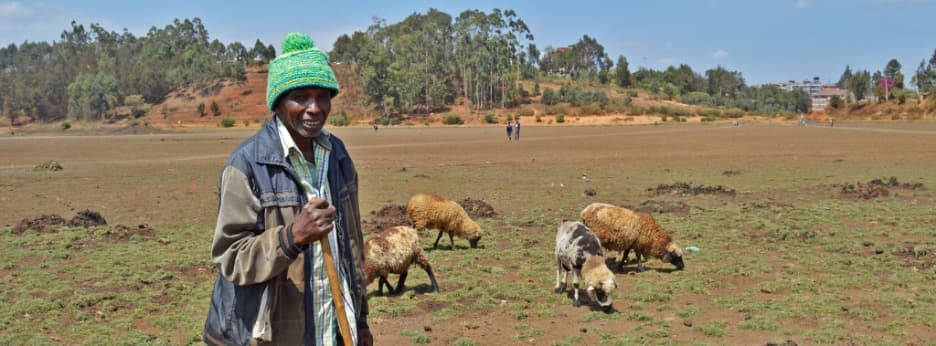 Drying wetlands and drought threaten water supplies in Kenya’s Kiambu County