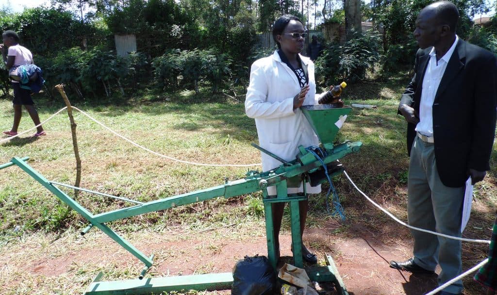 Manual oil extractor to save avocado farmers from losses