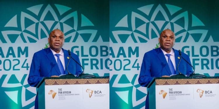 Prof. Benedict Oramah: Nigerian Man Ruto Appointed to National Infrastructure Fund Council