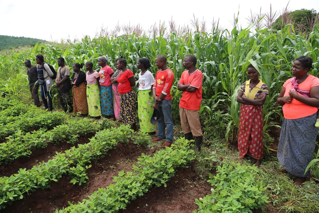 Group buying enables farmers purchase feeds for 20% less