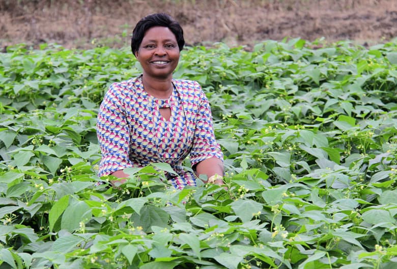SokoFreshi connects more than 100,000 farmers to local and international markets