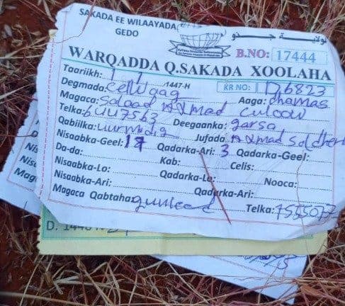 11 Al-Shabaab terrorists killed, seven injured near Kenyan border