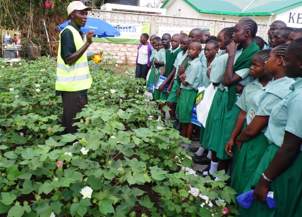 Cotton farmers to earn more as shortage bites
