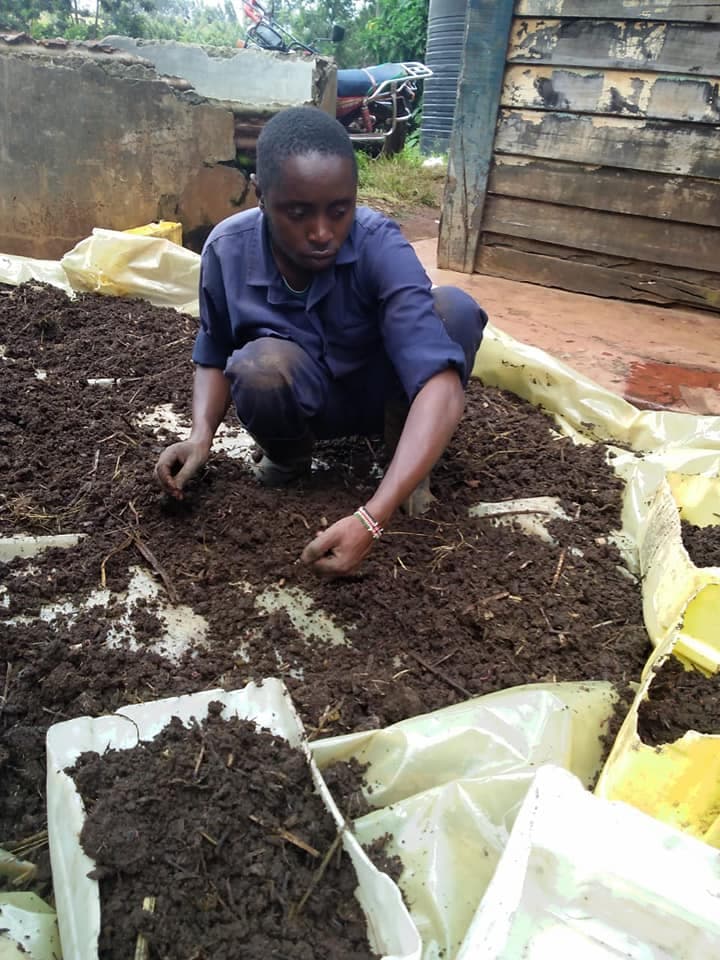 Young farmer cuts lucrative niche in offering organic farming solutions