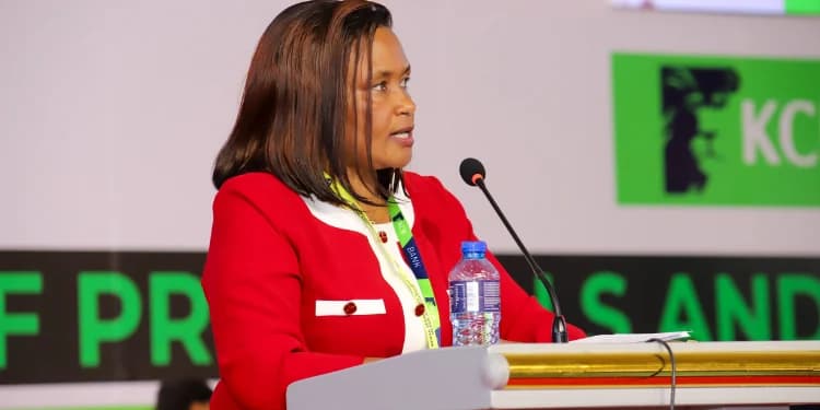 TSC Addresses Circular on Deployment of Degree and Diploma Teachers to Junior School