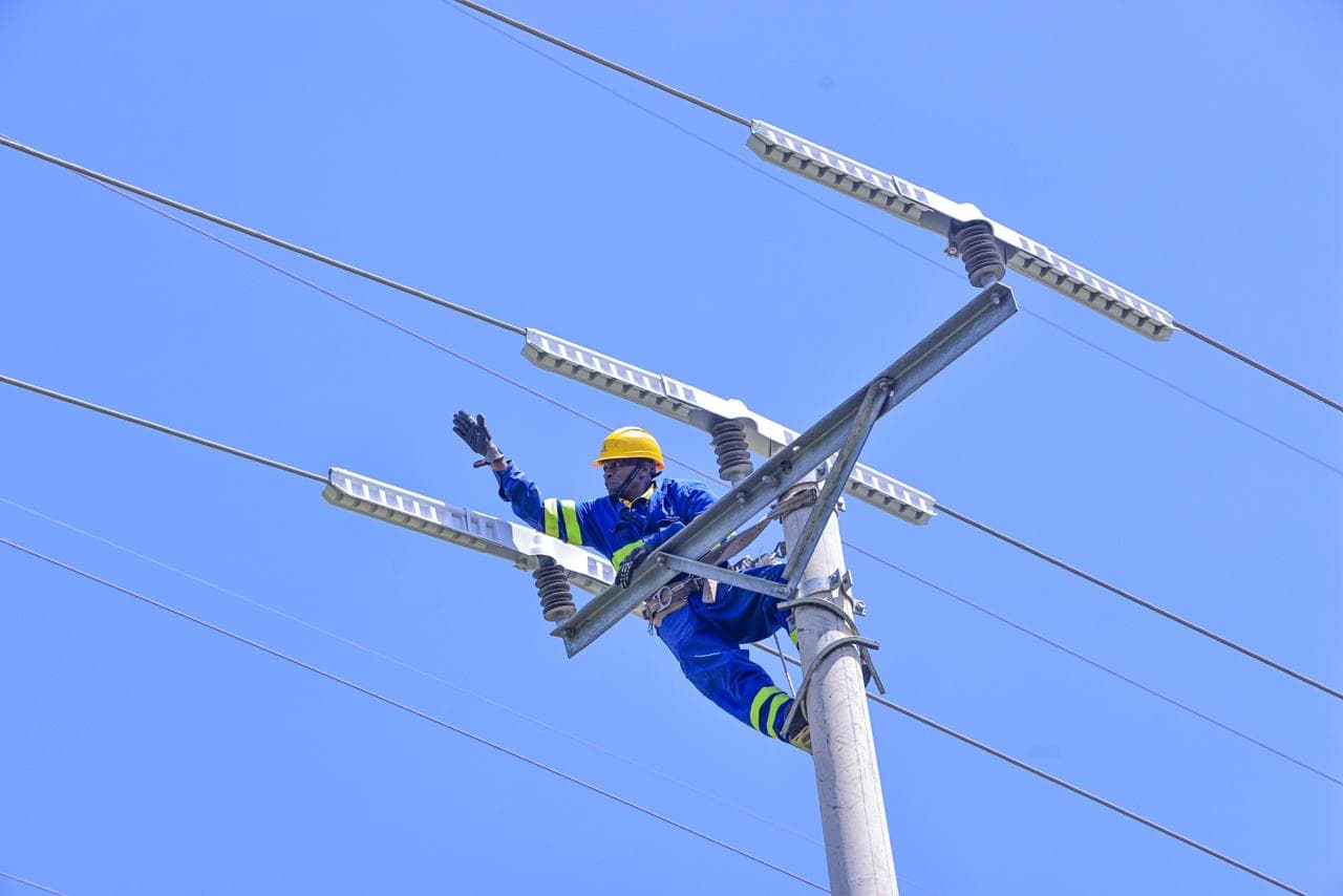 Kenya Power partners with US-based Kaddas enterprises to address wildlife electrocution
