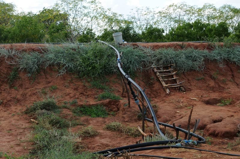 Smallholder farmers join hands to buy irrigation equipment