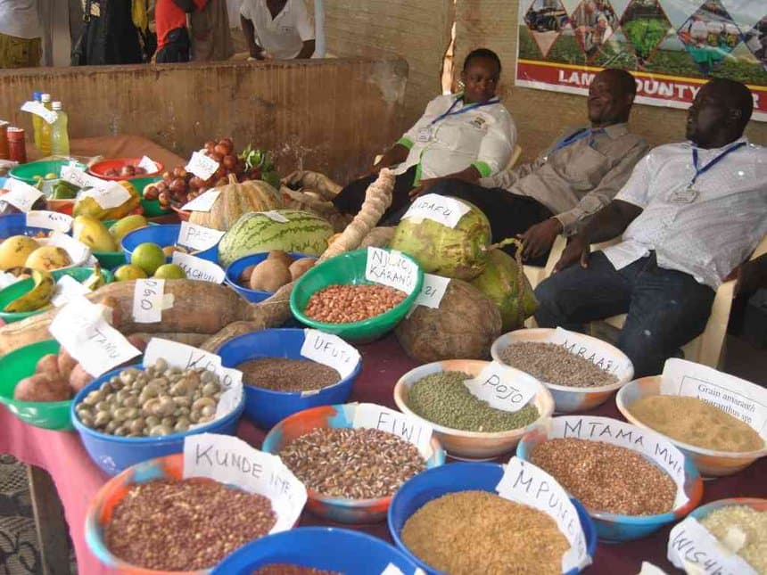 Kenya food imports rise by 30 per cent despite improved weather