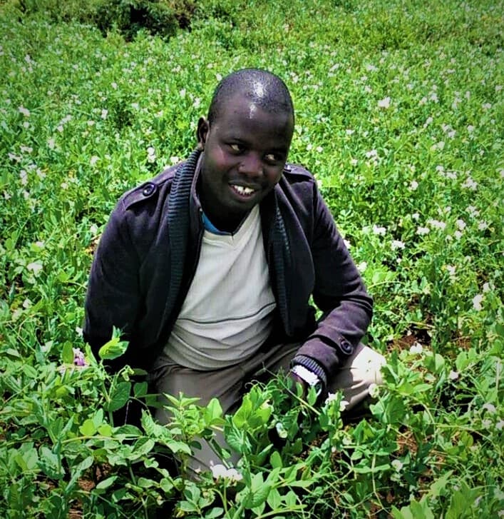 FarmBiz TV:Grano peas earns Narok farmer Sh240,000 in two and half months.