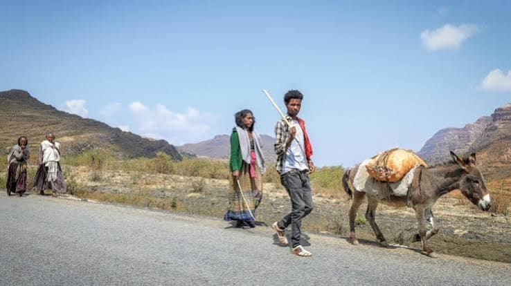 Hundreds flee fighting in northern Ethiopia as fears rise of return to civil war