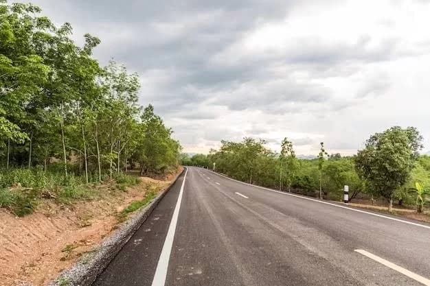 The 124-kilometre Kenya-Tanzania Road Project