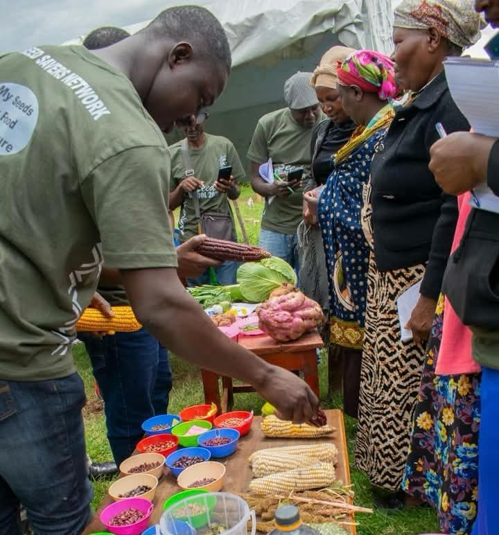 Court overturns compulsory seed certification so farmers can trade own seeds