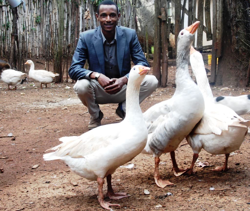 East Africa poultry farmers warned over avian flu outbreak