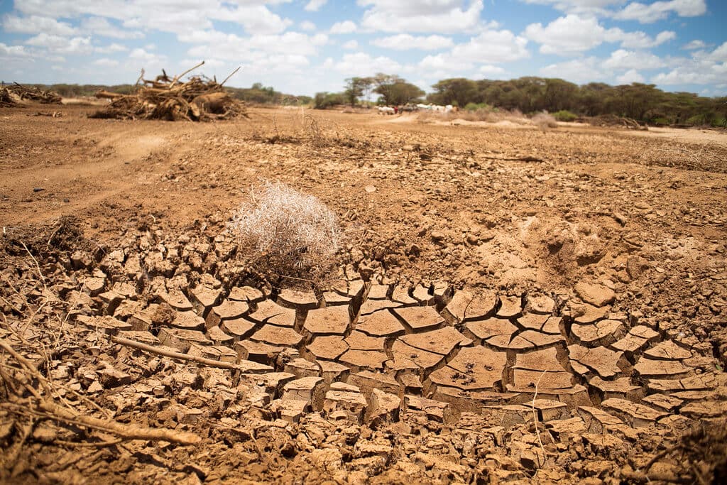 Back to drought: dry rains ahead for Kenya