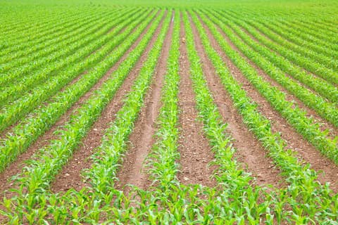 Former civil servant turns farm into award winning food basket