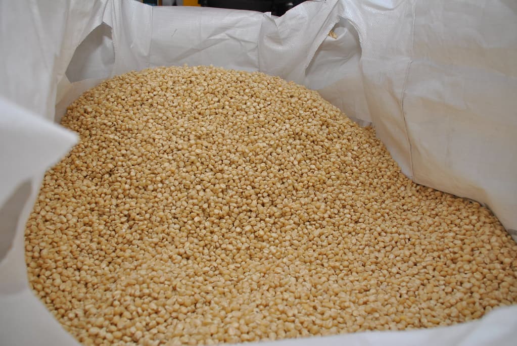 East Africa to have 1.7MT maize surplus, 119% higher than last year