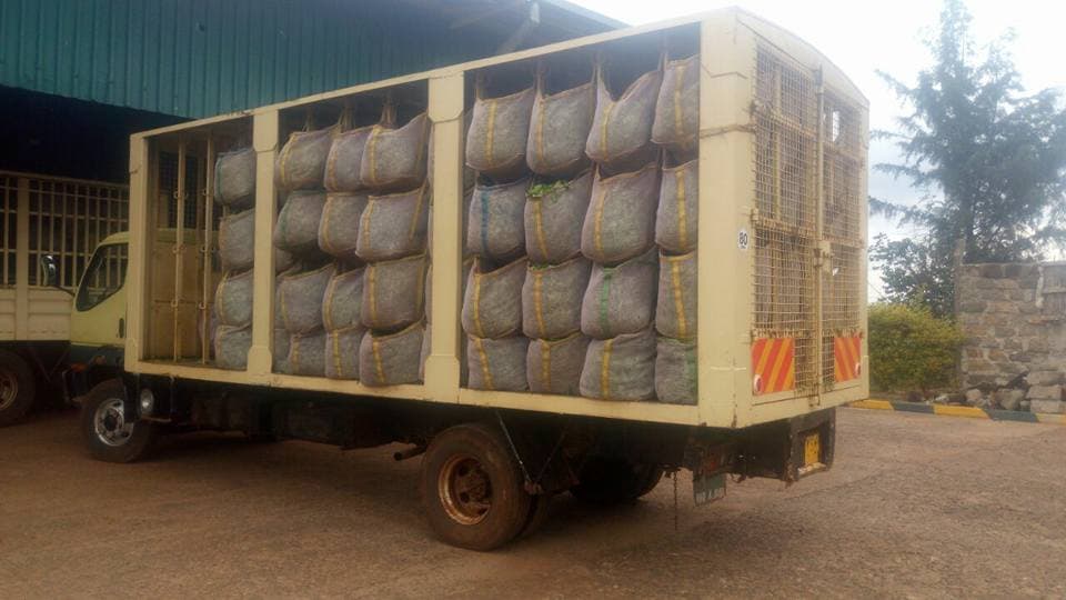 Govt implements new rules on commercial tea leaf transporters