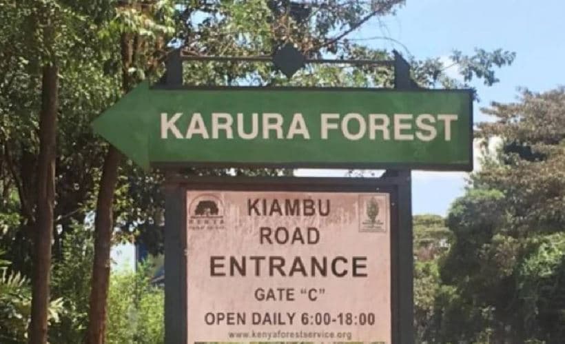 CS Deborah Barasa Explains Why Trees Are Being Cut in Karura Forest