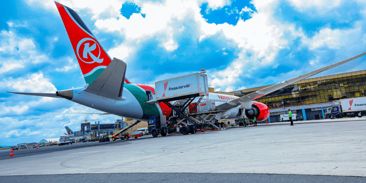 Kenya Airways Plane Grounded in South Africa After Strike Incident