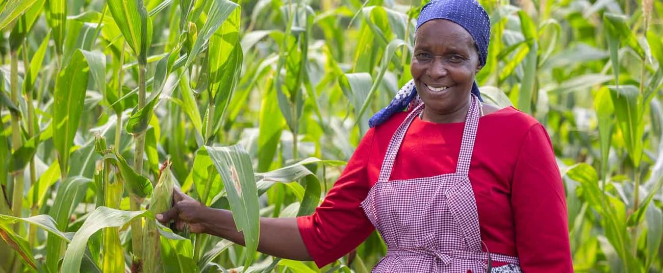 Kenya secures Sh7.5B loan for subsidised fertilizer & seeds ahead of short rains