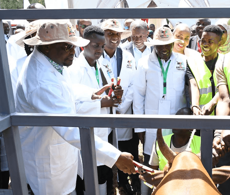 Government rolls out digital livestock tracking system to curb banditry, leverage export market
