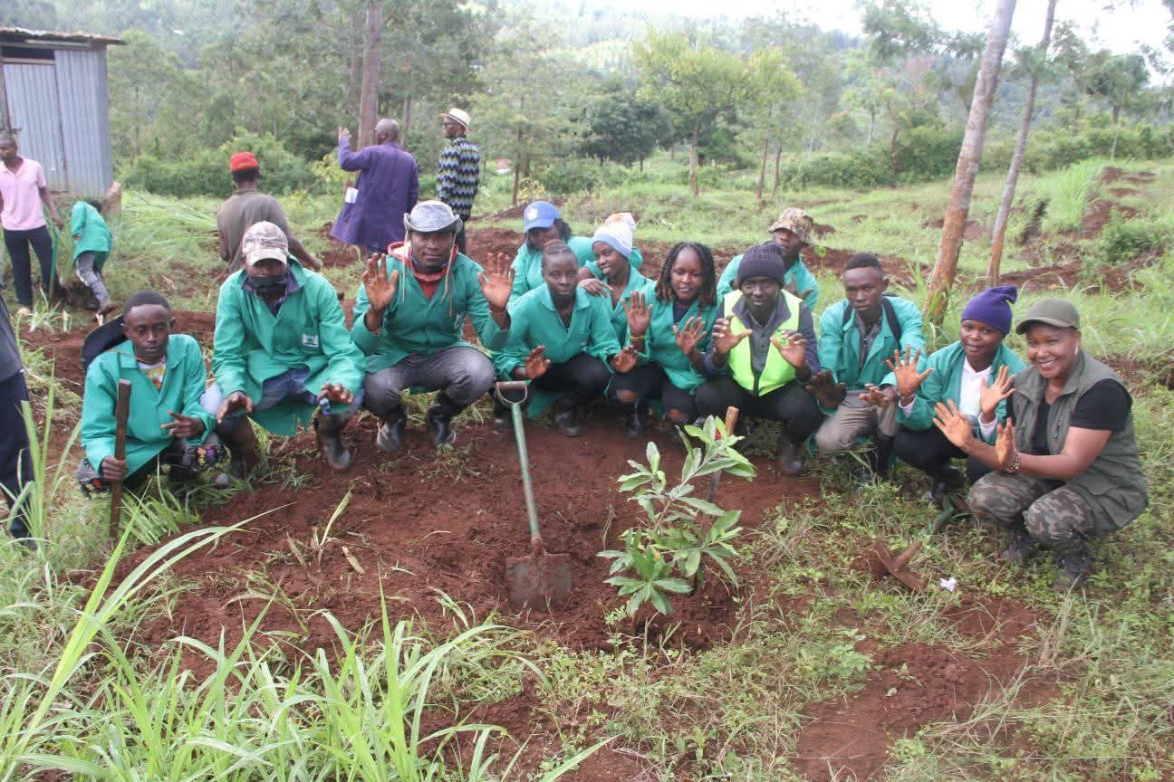 Kenyans urged to plant medicinal trees as country targets 15 billion
