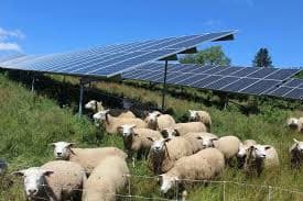 Construction Begins on Santa Teresa Solar and Storage Facility in Doña Ana County, New Mexico