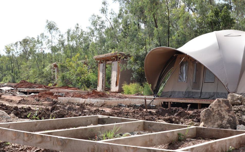 Public Pressure Halts Eco-Camp Development in Ngong Forest (Photos)