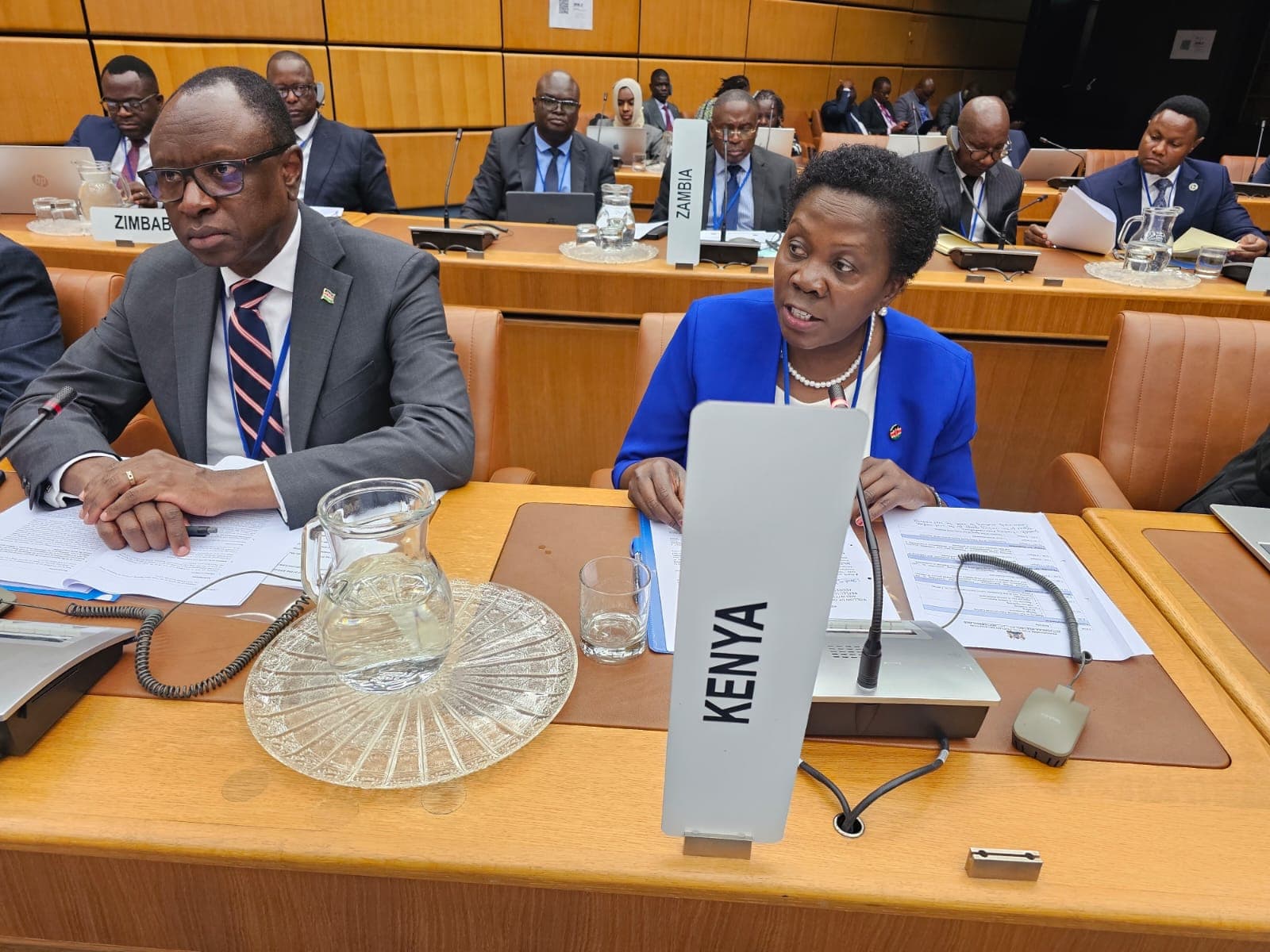 Kenya calls for global unity in drug war as HONLEA convenes in Vienna