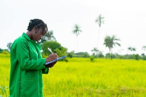How to Buy Your First Plot of Land in Kenya: A Beginner’s Guide