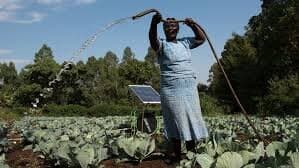 Sunculture offers pay-as-you-go solar pumps that experts say can triple profits