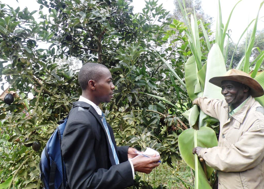 An 82-year-old Machakos farmer who grows different varieties of fruits from single stem tree