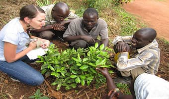 Horticultural farmers go back to school to chase lost exports