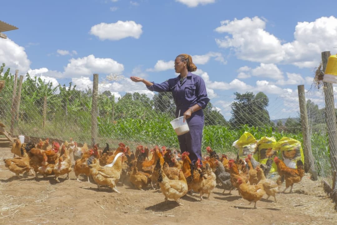 How a simple M-PESA transaction changed Sheila Cheptoo’s life shangwe @ 25