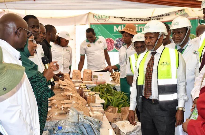KALRO establishes Agri-Parks to enhance farmers’ access to new technologies