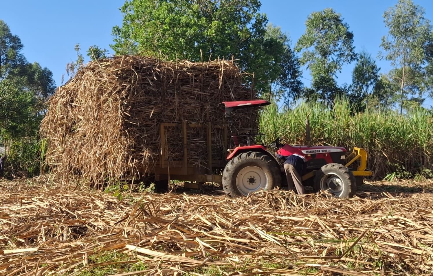 Kenya’s Largest Sugar Miller Halts Operations Over Fuel Shortage