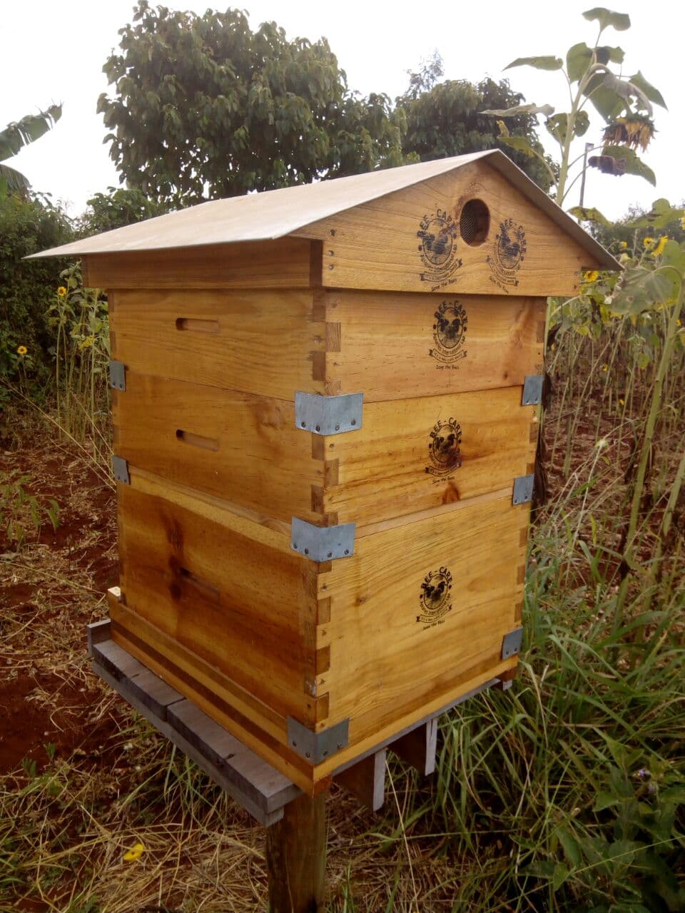 Backyard beehives can offer farmers 13 per cent increase in annual honey yields