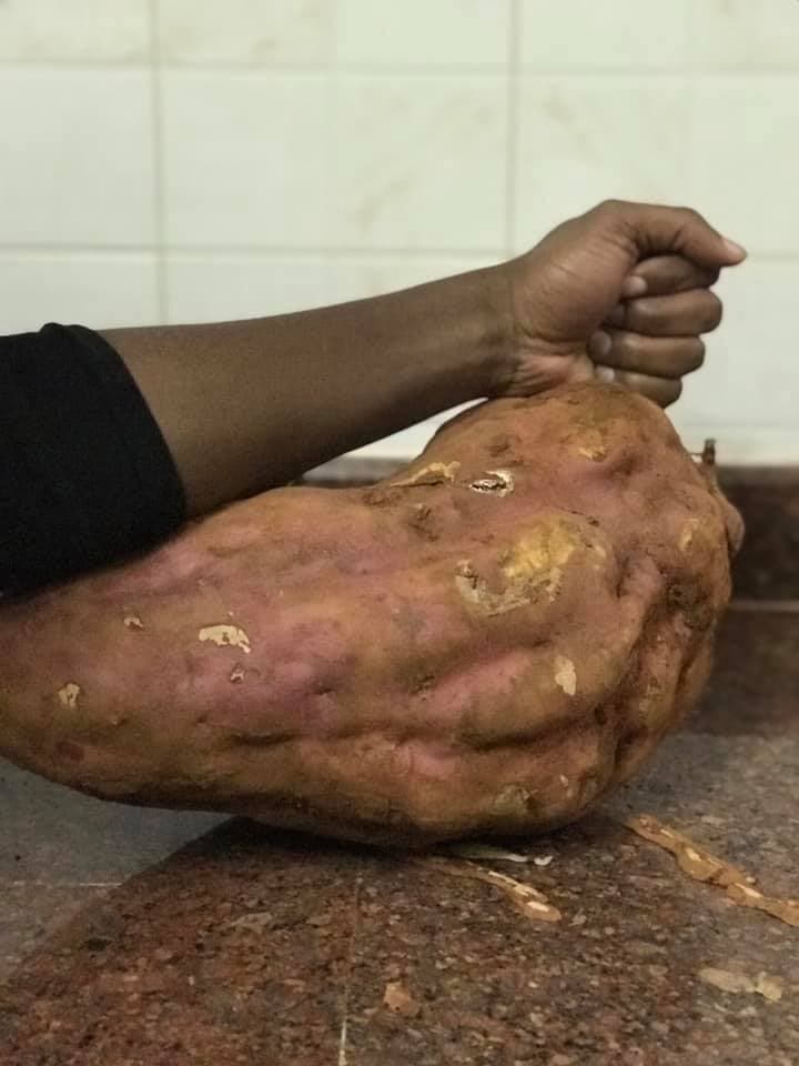 Elgeyo Marakwet farmer who grows orange fleshed sweet potato to exploit its rich market