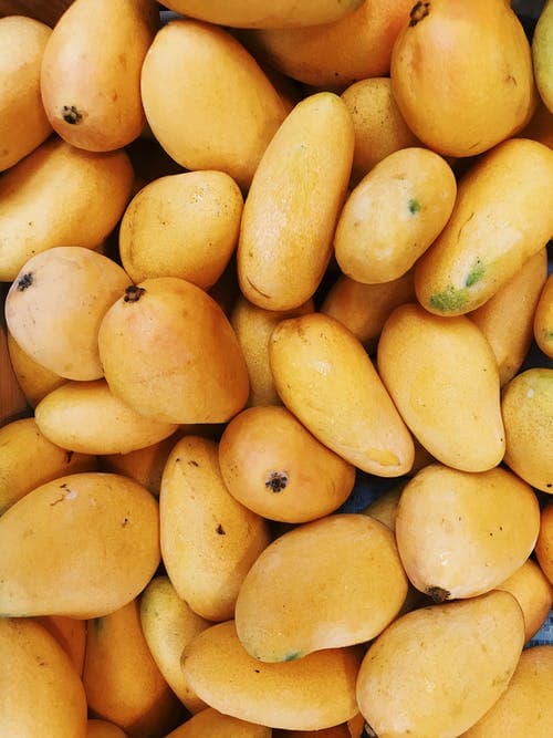 Farmers cut mango losses by a third with home-made brick coolers