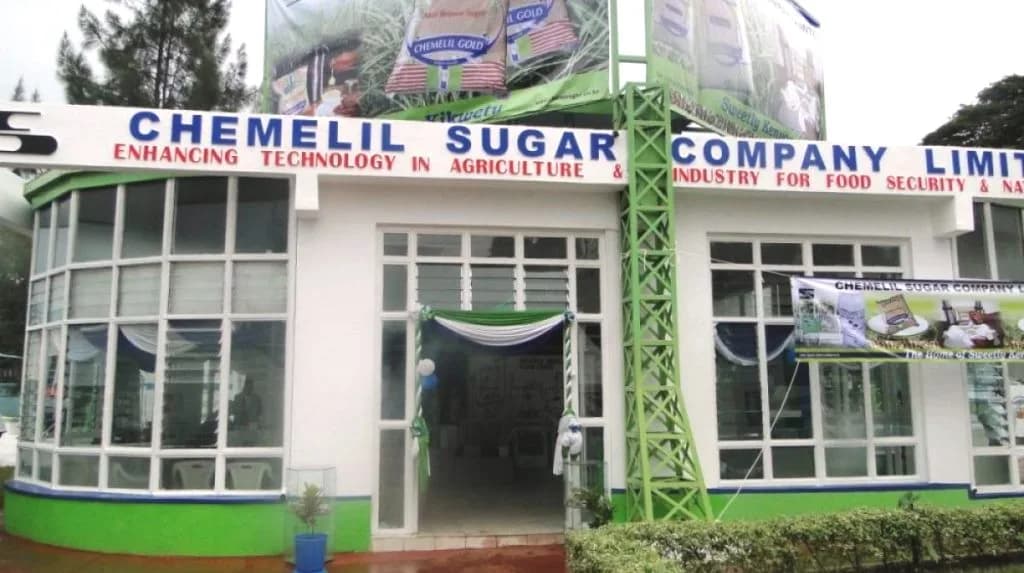 Six sugar distributors sue State over Sh173.6m owed by leased mills
