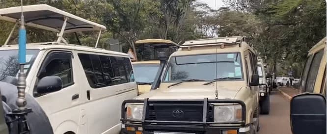 KWS Makes Changes at Nairobi National Park After Uproar