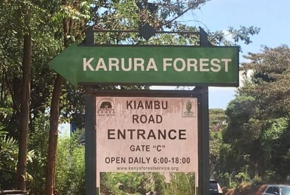 KFS Boss: This is Why We’ve Built a Tarmac Road Inside Karura Forest