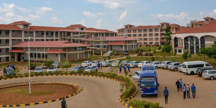 Kibabii University Earns Spot in Prestigious 2026 UK Award