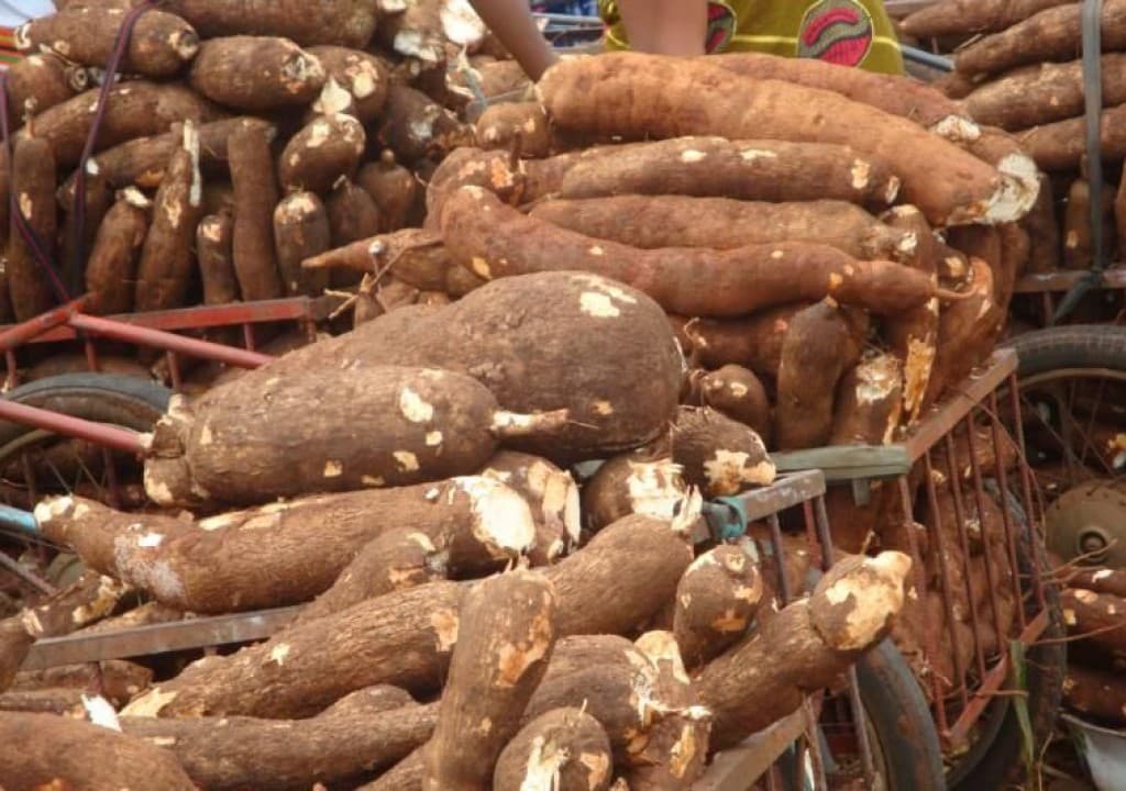 Agency to link 113,292 smallholder farmers with 244 buyers to sell commodities