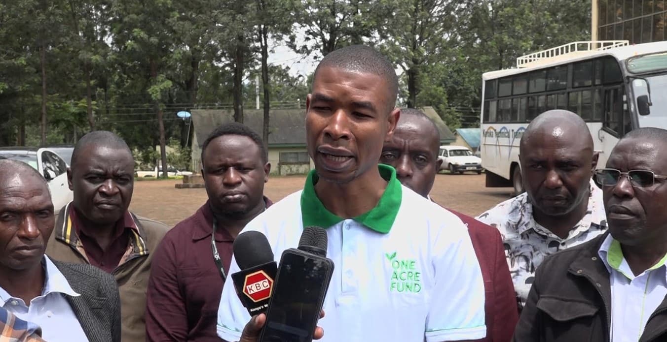 Avocado farmers trained to combat persea mite pest threat