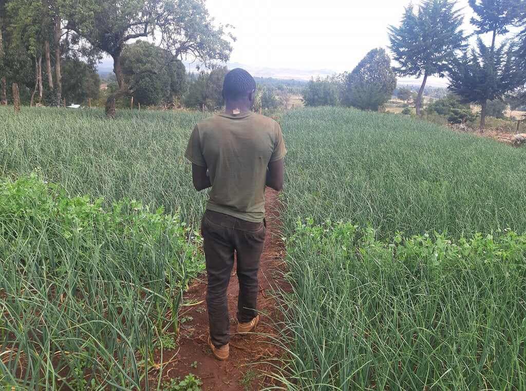 Young Timau farmer moves from joblessness to earning Sh100,000 from garlic