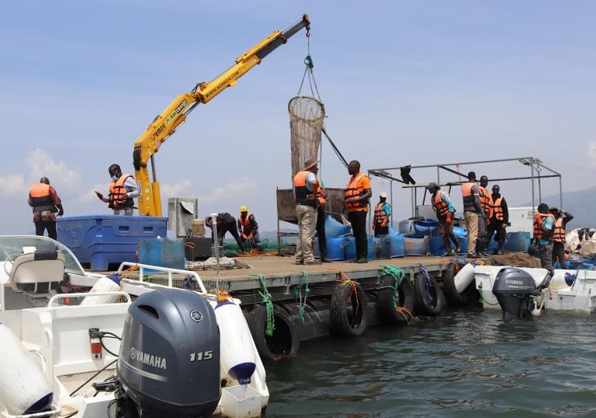 Victory farms targeting affordable fish for two billion Africans